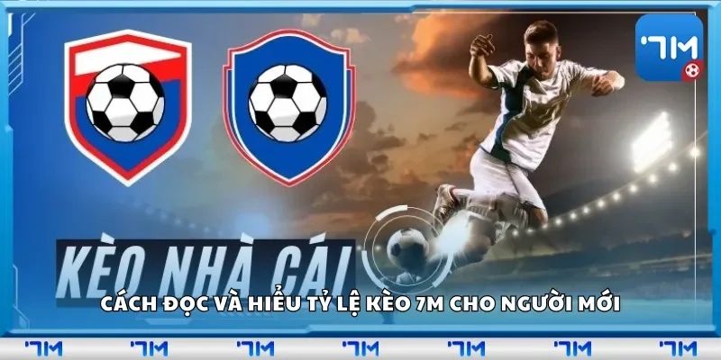 Cách đọc và hiểu tỷ lệ kèo 7m cho người mới