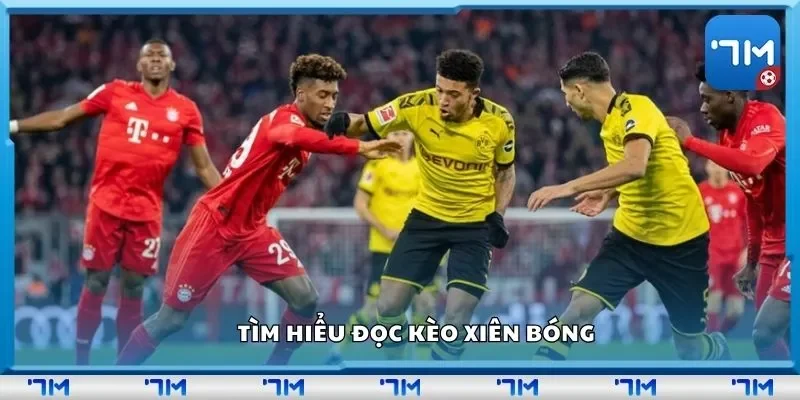 Tìm hiểu đọc kèo xiên bóng